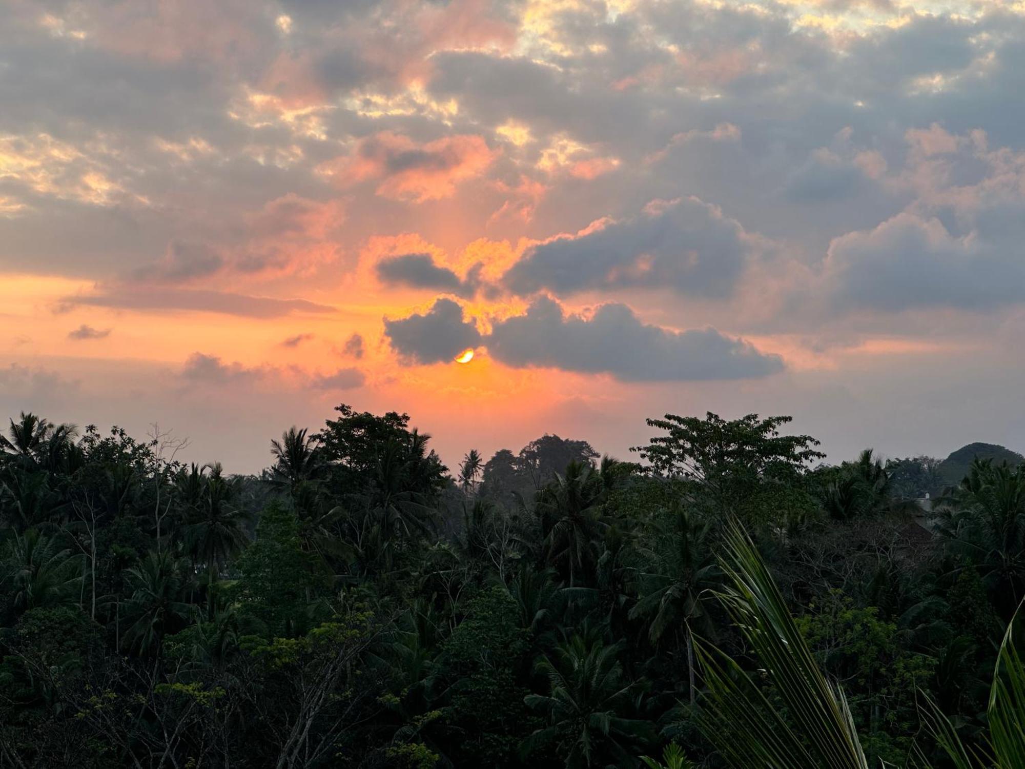 Brata Cottage Ubud Екстер'єр фото