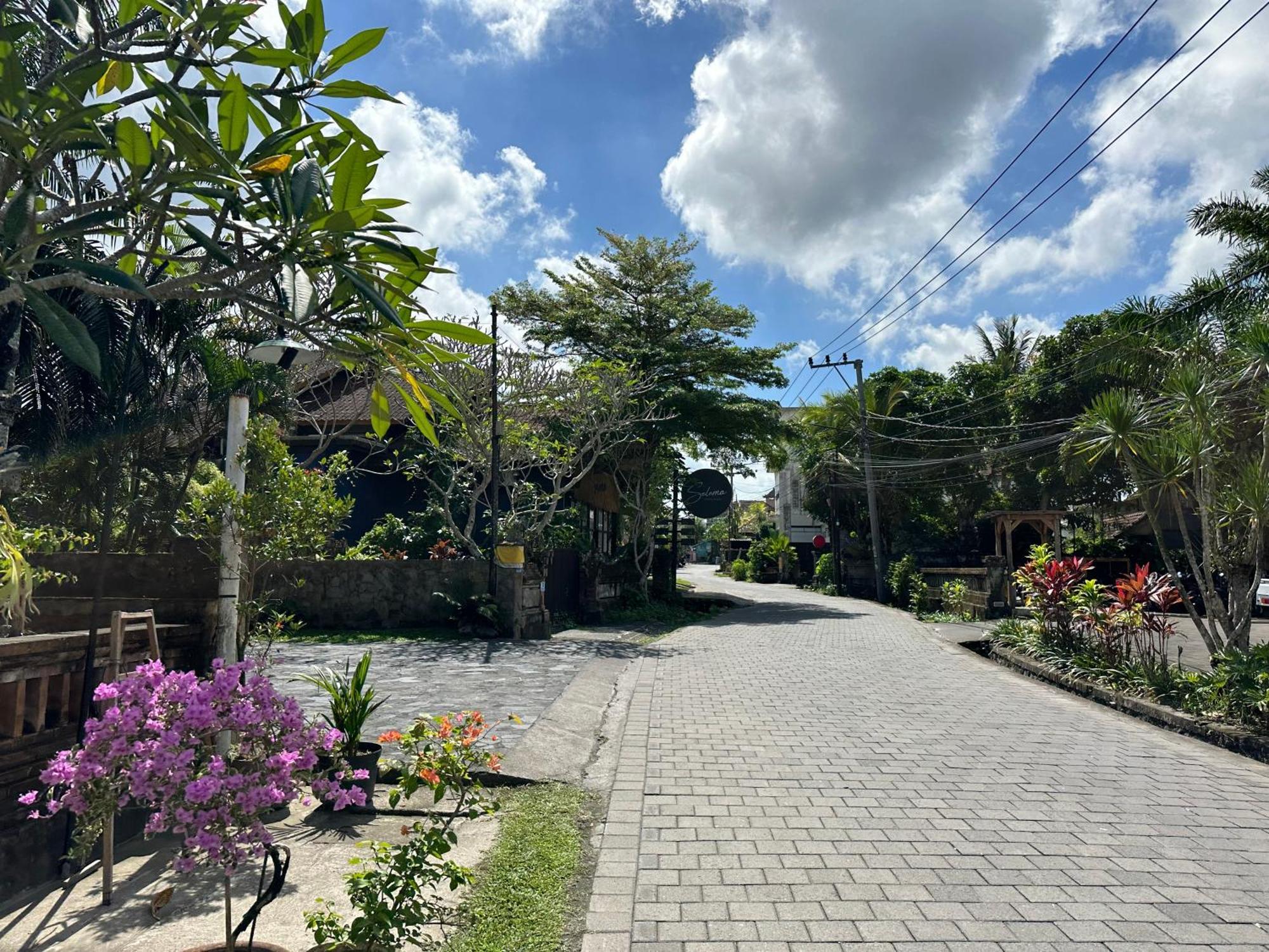 Brata Cottage Ubud Екстер'єр фото